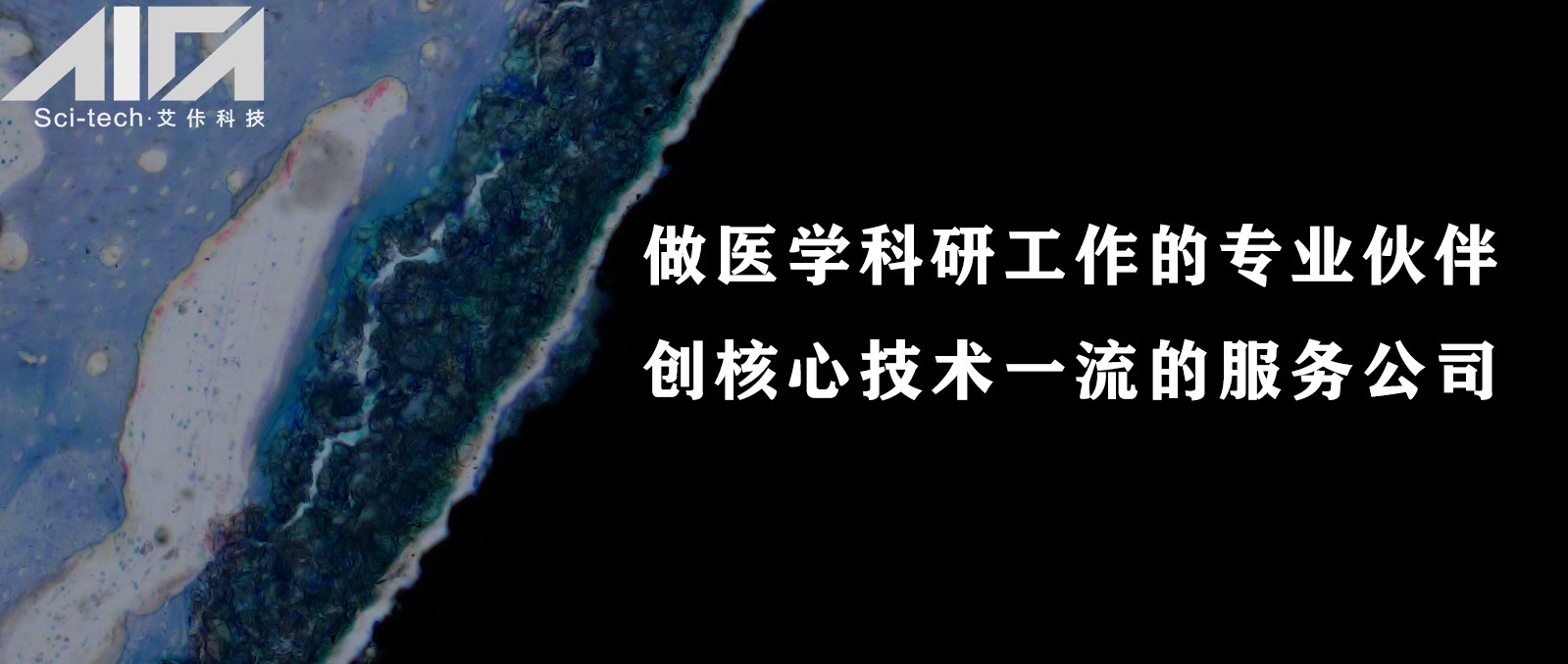 圖片1無地址.jpg