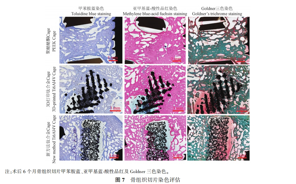 【文章薦讀】小尾寒羊頸椎前路椎間盤切除融合模型的建立及評估
