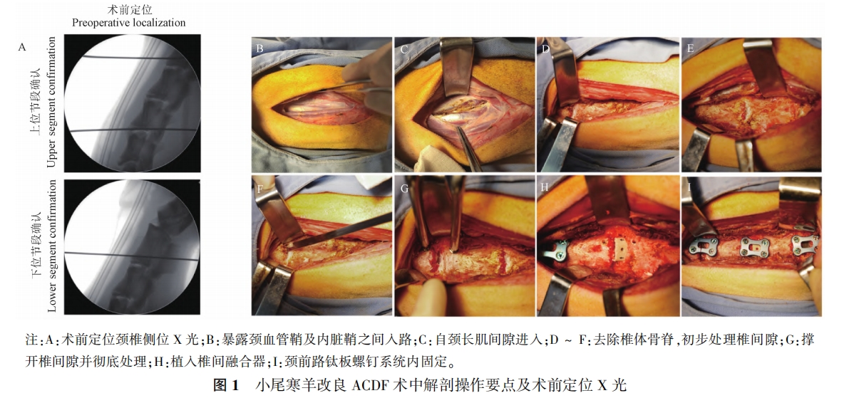 圖1.png 圖1.png